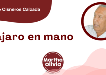 Por Fortino Cisneros Calzada | Pájaro en mano