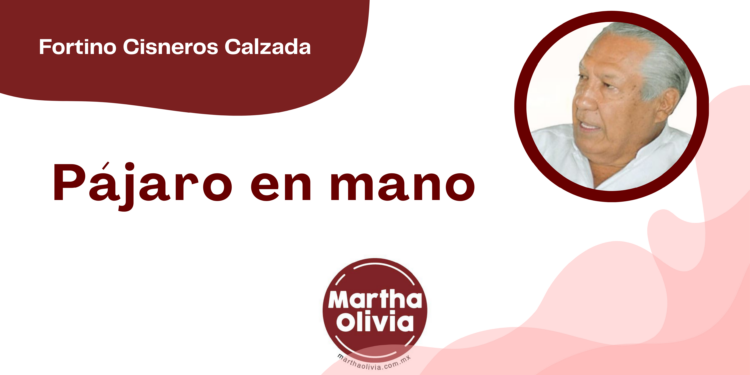 Por Fortino Cisneros Calzada | Pájaro en mano
