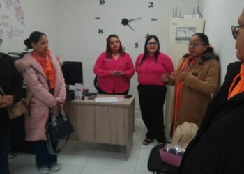 DEMA y “Casa Violeta” de Altamira suman esfuerzos para erradicar la violencia