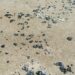 Presencia de fragmentos de hidrocarburo en Playa Miramar es cotidiana, asegura alcalde. Foto de Marthaolivia.com.mx