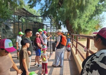 REGISTRA ZOOLÓGICO DE NUEVO LAREDO ALTA AFLUENCIA DURANTE PERIODO VACACIONAL