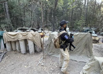 Gobierno de México no estaba enterado de operativo conjunto de EE.UU. con Chihuahua. Foto de Web