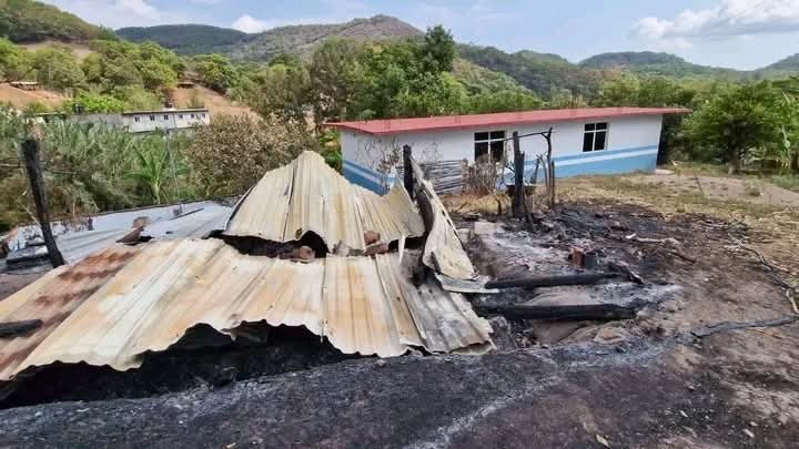 Foto de Bernardo Torres