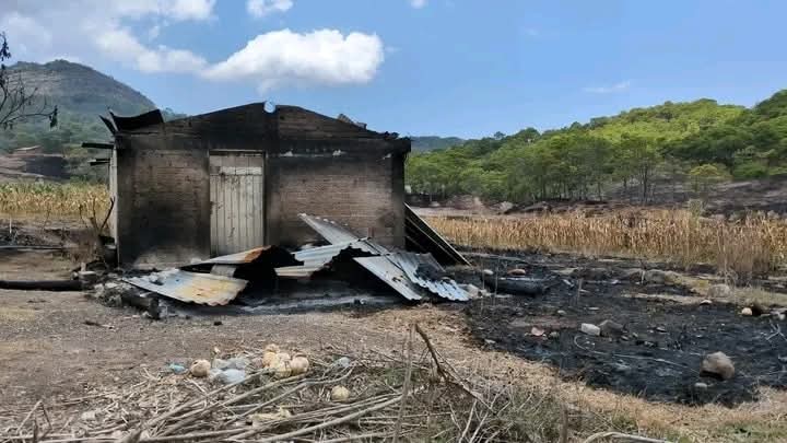 Foto de Bernardo Torres