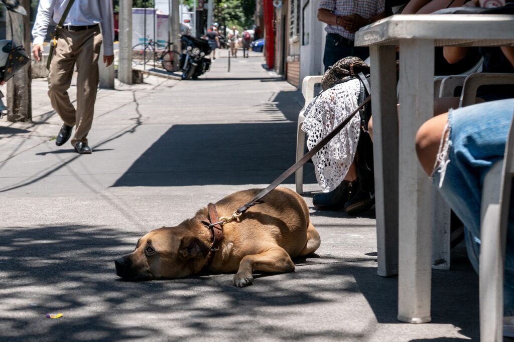 Foto de Dante Vivas / Cooperativa de Periodismo