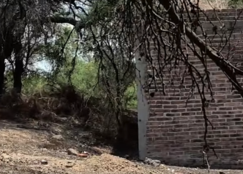 Hallazgo en Lagos de Moreno estremece a madres buscadoras. Foto tomada de video