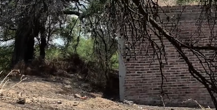 Hallazgo en Lagos de Moreno estremece a madres buscadoras. Foto tomada de video