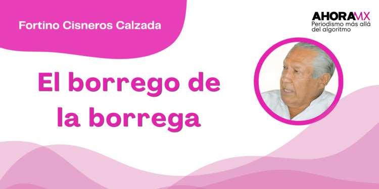Por Fortino Cisneros Calzada | El borrego de la borrega