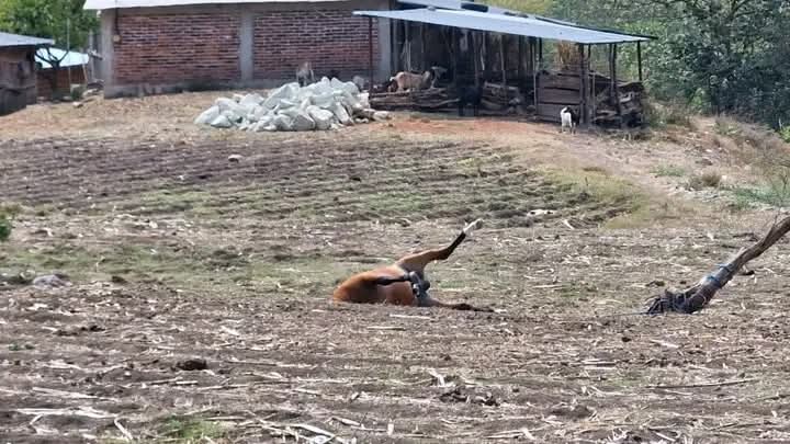 Foto de Bernardo Torres