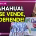 Semarnat rechaza oficialmente “Perfect Day” tras protestas ciudadanas