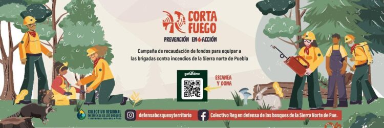 A “cortar fuego” llaman comuneros de la Sierra de Puebla