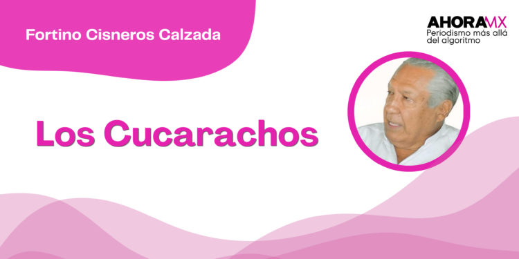 Por Fortino Cisneros Calzada |  Los Cucarachos
